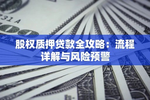 武汉股权质押贷款全攻略：流程详解与风险预警