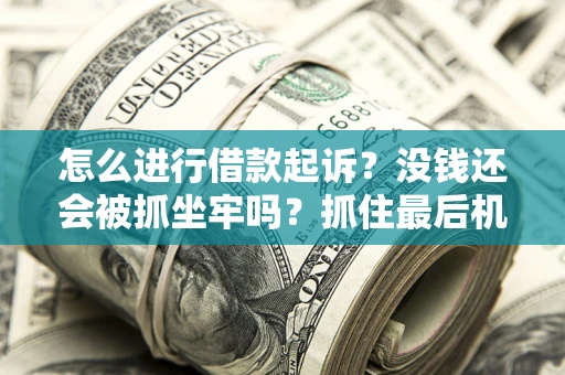 武汉怎么进行借款起诉？没钱还会被抓坐牢吗？抓住最后机会！