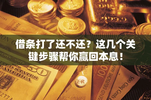 武汉借条打了还不还？这几个关键步骤帮你赢回本息！