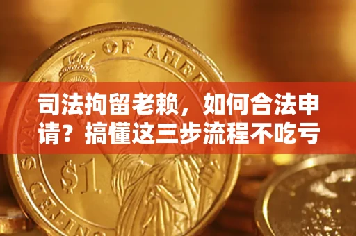 武汉司法拘留老赖，如何合法申请？搞懂这三步流程不吃亏！
