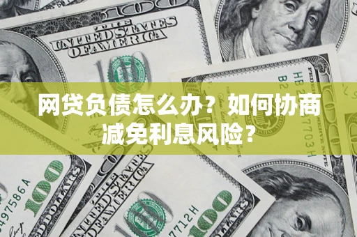 武汉网贷负债怎么办？如何协商减免利息风险？