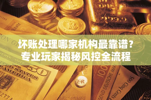 武汉坏账处理哪家机构最靠谱？专业玩家揭秘风控全流程
