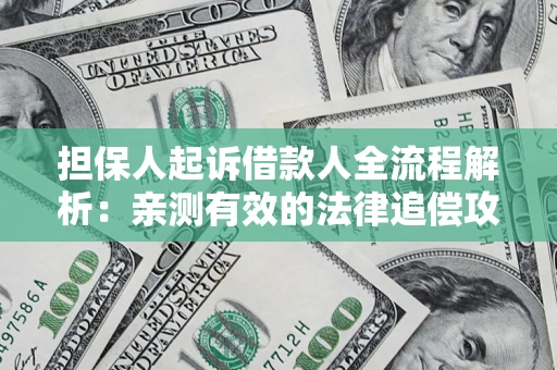 武汉担保人起诉借款人全流程解析：亲测有效的法律追偿攻略