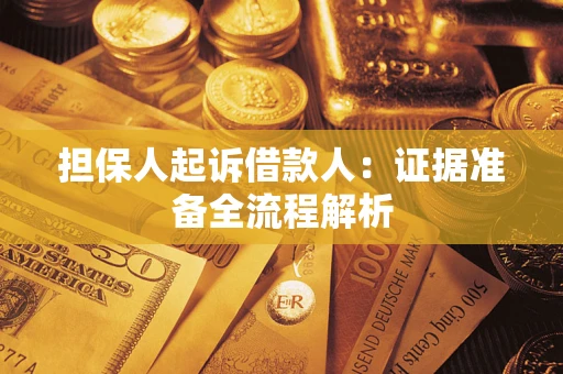 武汉担保人起诉借款人：证据准备全流程解析