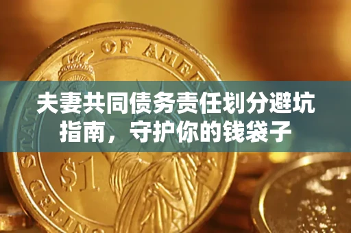 武汉夫妻共同债务责任划分避坑指南，守护你的钱袋子