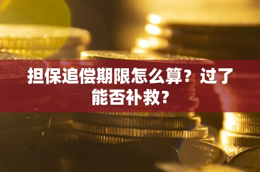 武汉担保追偿期限怎么算？过了能否补救？